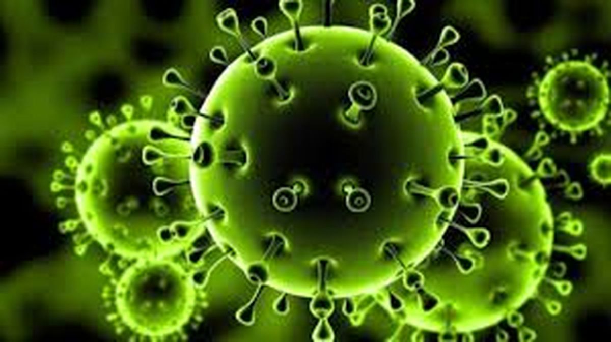 ویروس کشنده جدید را بشناسید | ویروس پیرولا چه علائمی دارد؟