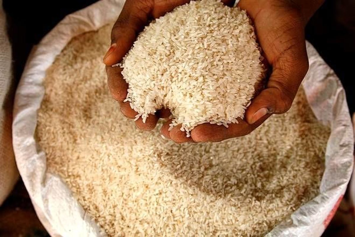 برنج با قیمت جدید در راه است