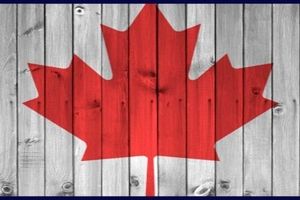 مزایای ویزای استارتاپ کانادا چیست؟