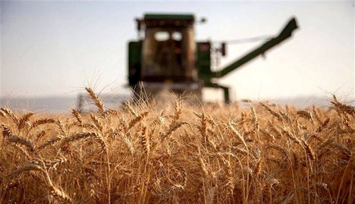 یارانه آرد مشمول افزایش قیمت گندم خواهد شد 