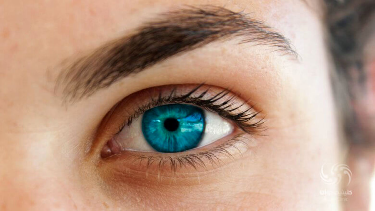 از طریق چشم های خود بیماری ها را تشخیص دهید | با این علائم در چشم ها بیماری وجود دارد!