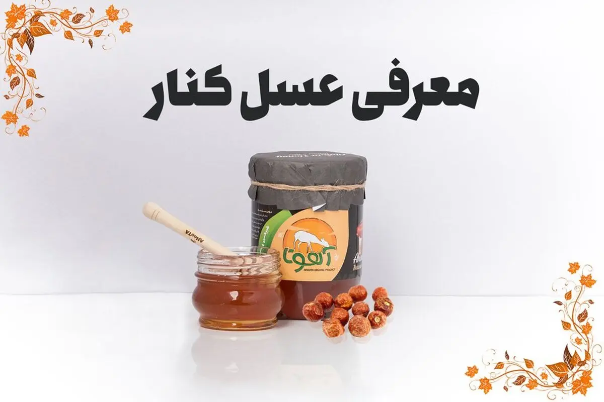 عسل کنار چیست؟ + 5 خواص آن