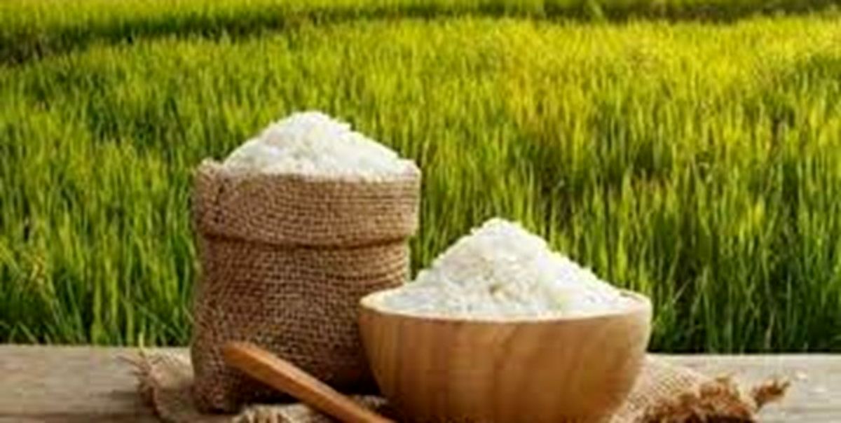 قیمت برنج ایرانی بازار داخلی و خارجی را زیر و رو کرد 