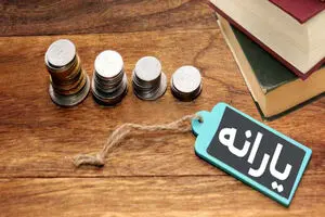 یارانه نقدی بهمن چقدر افزایش خواهد یافت؟ | برنامه جدید دولت برای یارانه 1403!