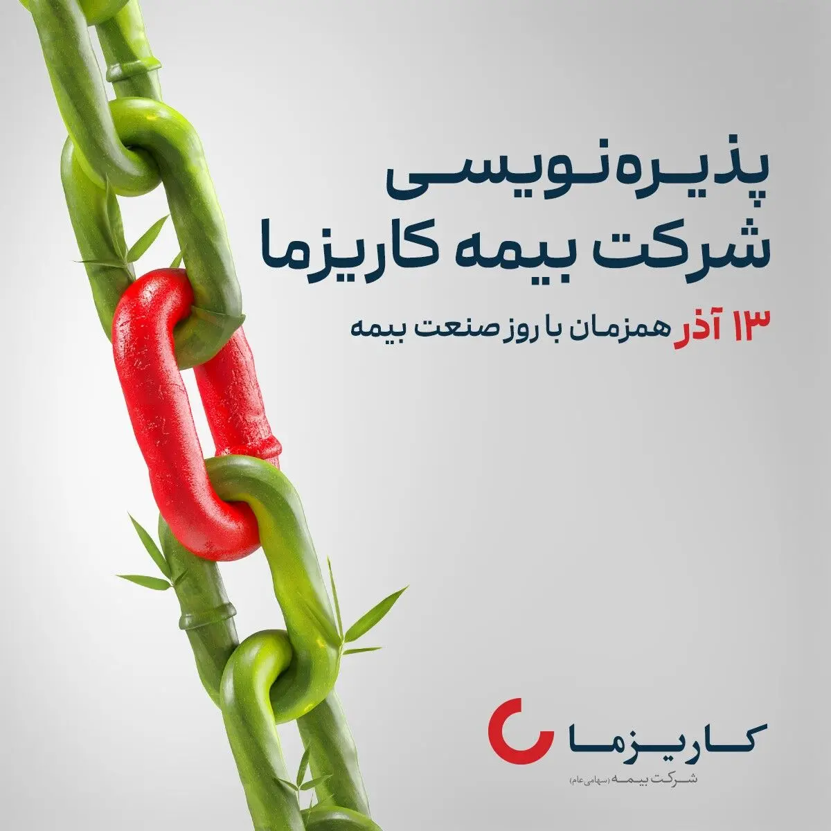 "بیمه زندگی کاریزما" در یک قدمی پذیره‌نویسی