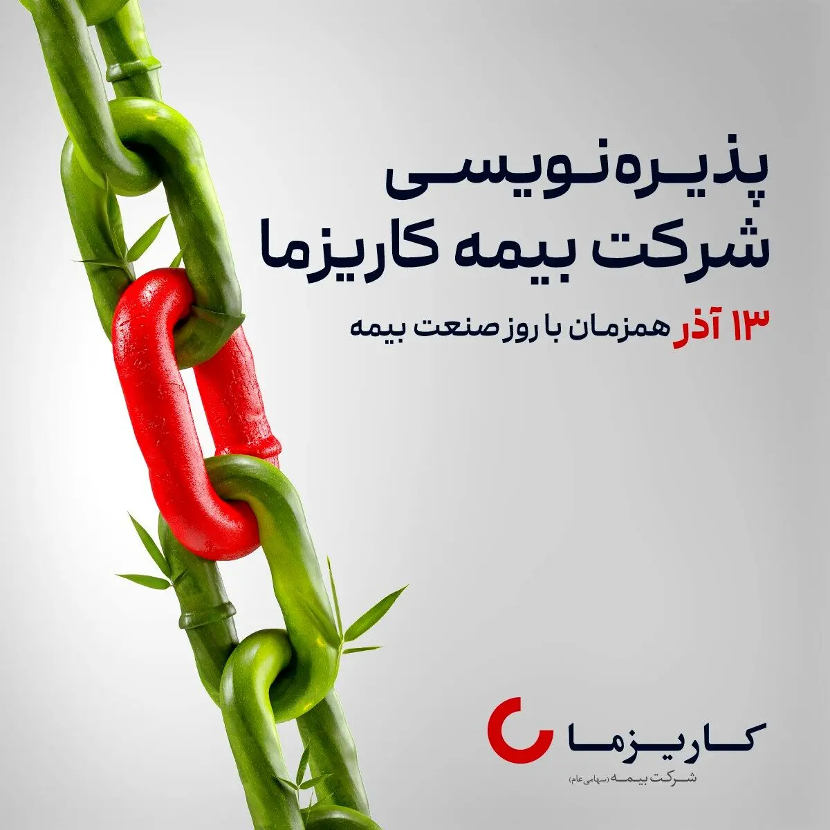"بیمه زندگی کاریزما" در یک قدمی پذیره‌نویسی