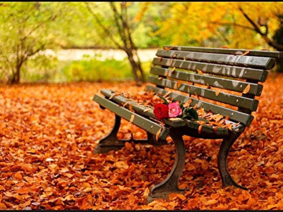 پاییز بی باران خواهد بود؟