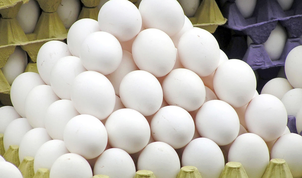 فوری: قیمت تخم مرغ پر کشید