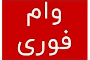 وام فوری 120 میلیونی بانک ملت با سود 4 درصد | وام فوری با بازپرداخت 10 ساله برای این افراد 