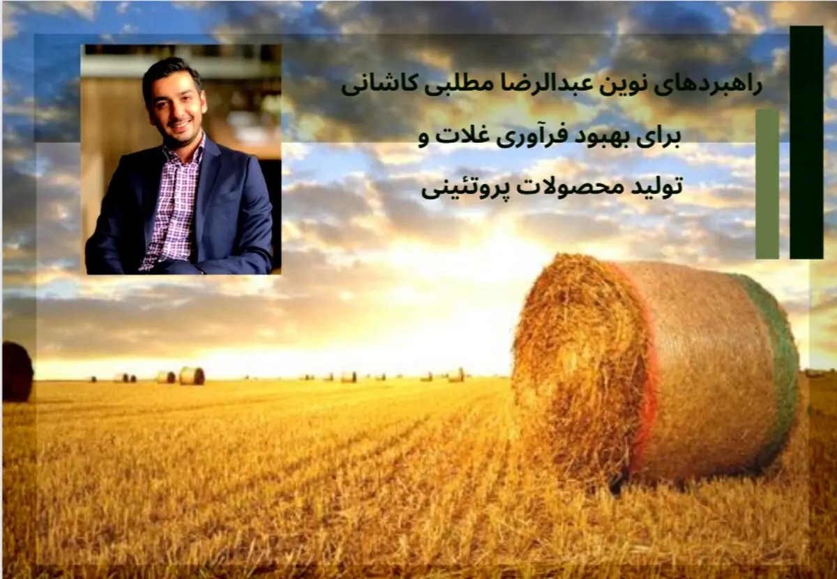 راهبردهای نوین عبدالرضا مطلبی کاشانی برای بهبود فرآوری غلات و تولید محصولات پروتئینی