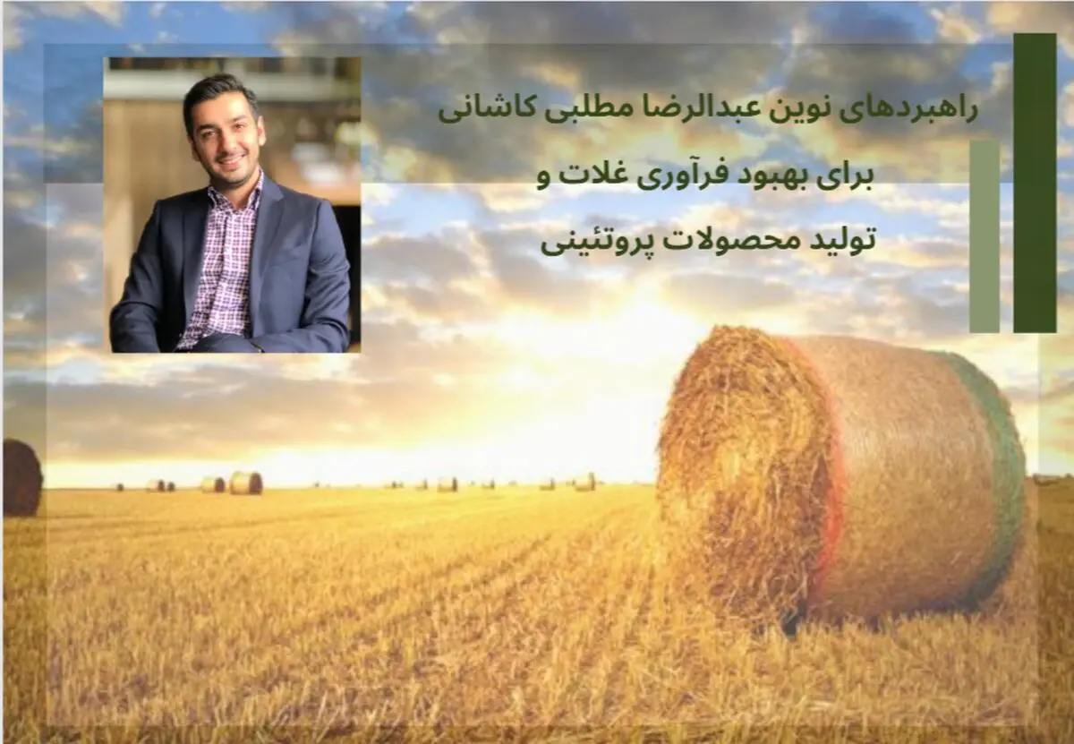 راهبردهای نوین عبدالرضا مطلبی کاشانی برای بهبود فرآوری غلات و تولید محصولات پروتئینی