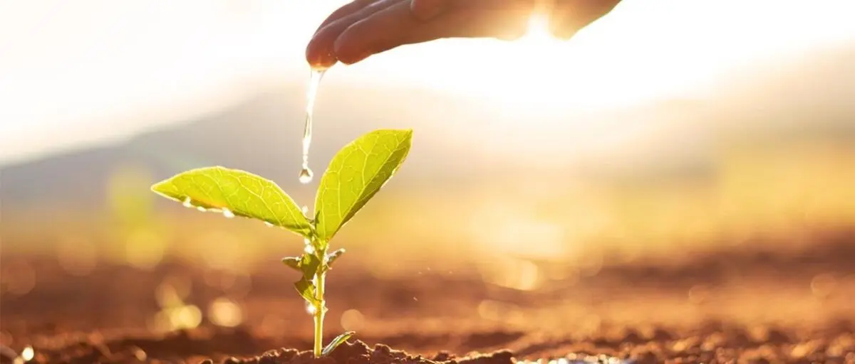 چگونه در مصرف آب صرفه جویی کنیم ؟