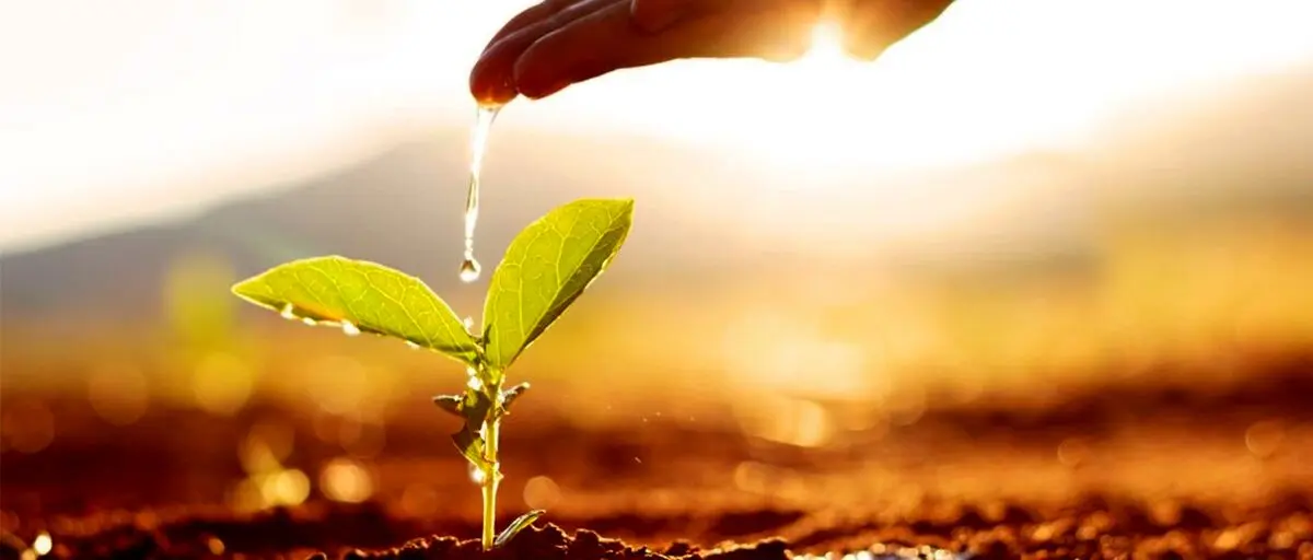 چگونه در مصرف آب صرفه جویی کنیم ؟