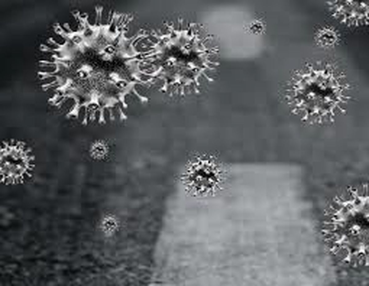 هشدار : شیوع بیماری ویروسی خطرناک در کشور | مراقب باشید