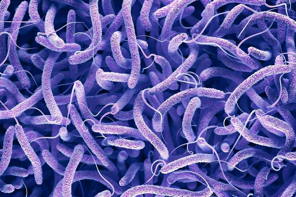 هشدار جدی درباره شیوع وبا | مراقب باشید