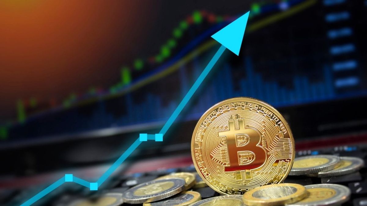 آیا بیت کوین هنوز بهترین گزینه سرمایه گذاری است؟