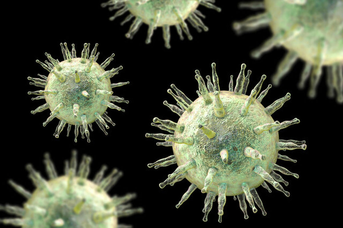 هشدار: شیوع ویروس خطرناک در کشور| مراقب باشید