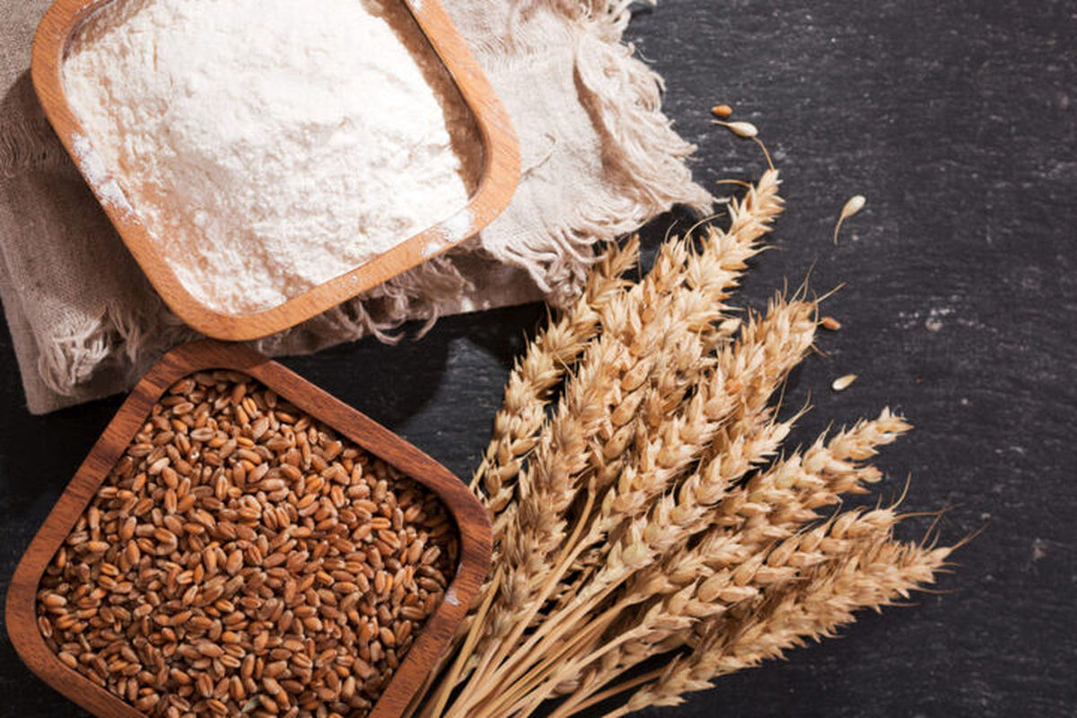 افزایش قیمت گندم در بازار جهانی چیست؟