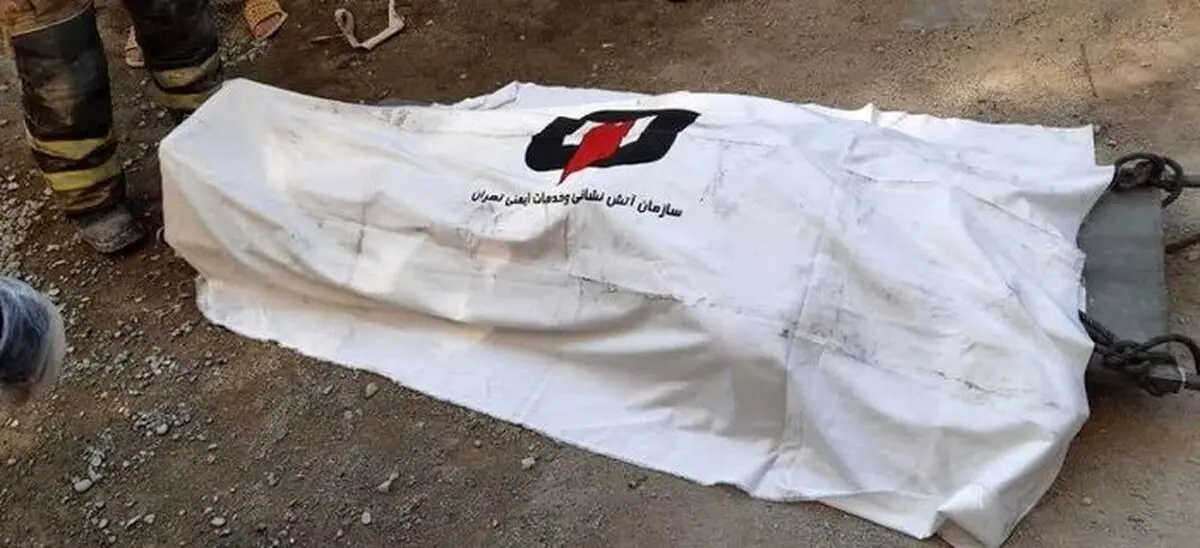 کشف جسد بسته‌بندی شده در ونک | بخوانید