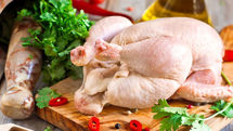 قیمت مرغ امروز 12 تیر | مرغ ارزان در راه است!!