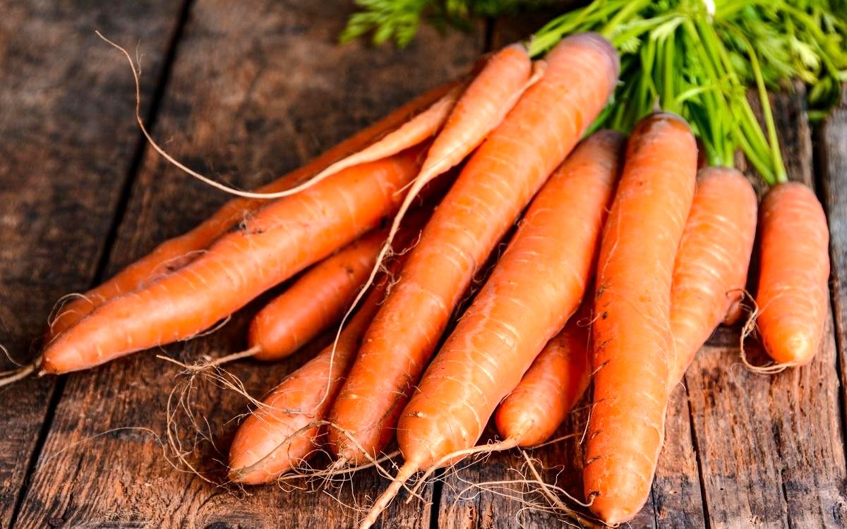 قیمت هویج هر روز گران تر از دیروز| عاملی گرانی هویج