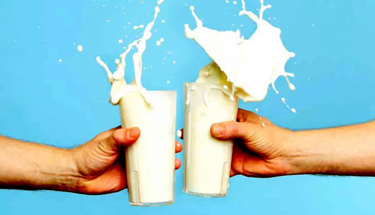 این افراد از نوشیدن شیر منع هستند! | بهترین زمان نوشیدن شیر چه مواقعی است؟