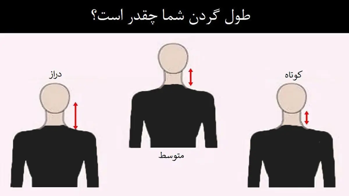 مدل گردن چه تاثیری بر شخصیت ما دارد؟ | با مدل گردن خود به شخصیتتان پی ببرید