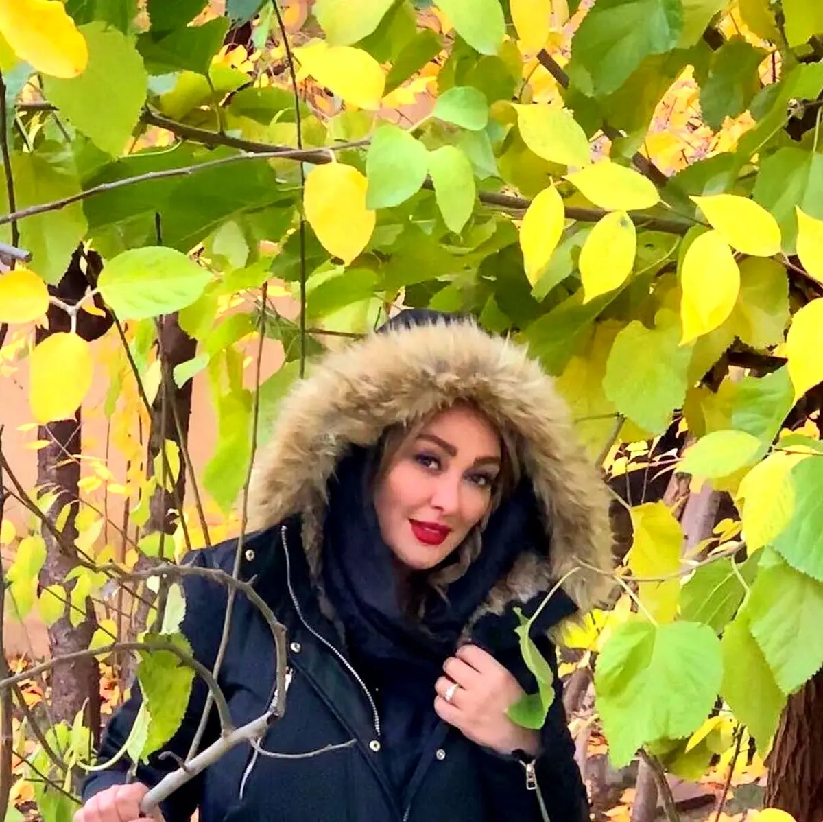 جشن میلیاردی سالگرد ازدواج الهام حمیدی 