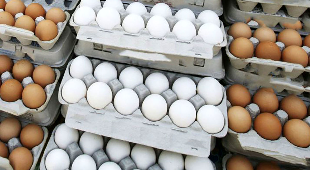 قیمت تخم مرغ امروز  25 مهر | قیمت تخم مرغ سربه فلک کشید