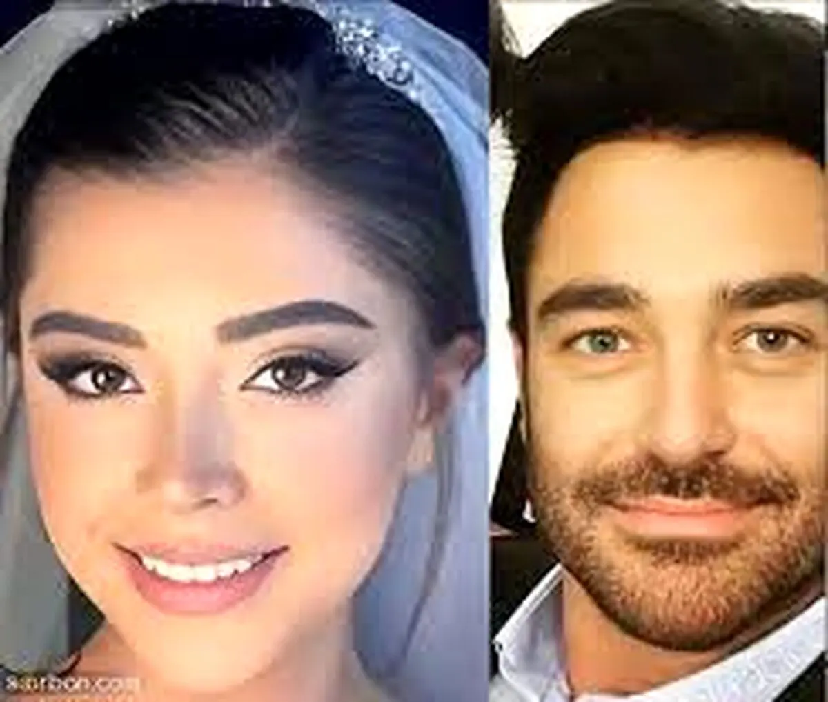 بیوگرافی محمدرضا گلزار