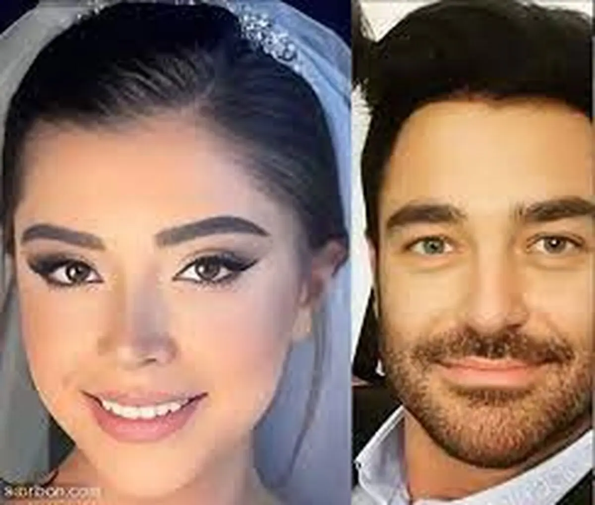 بیوگرافی محمدرضا گلزار