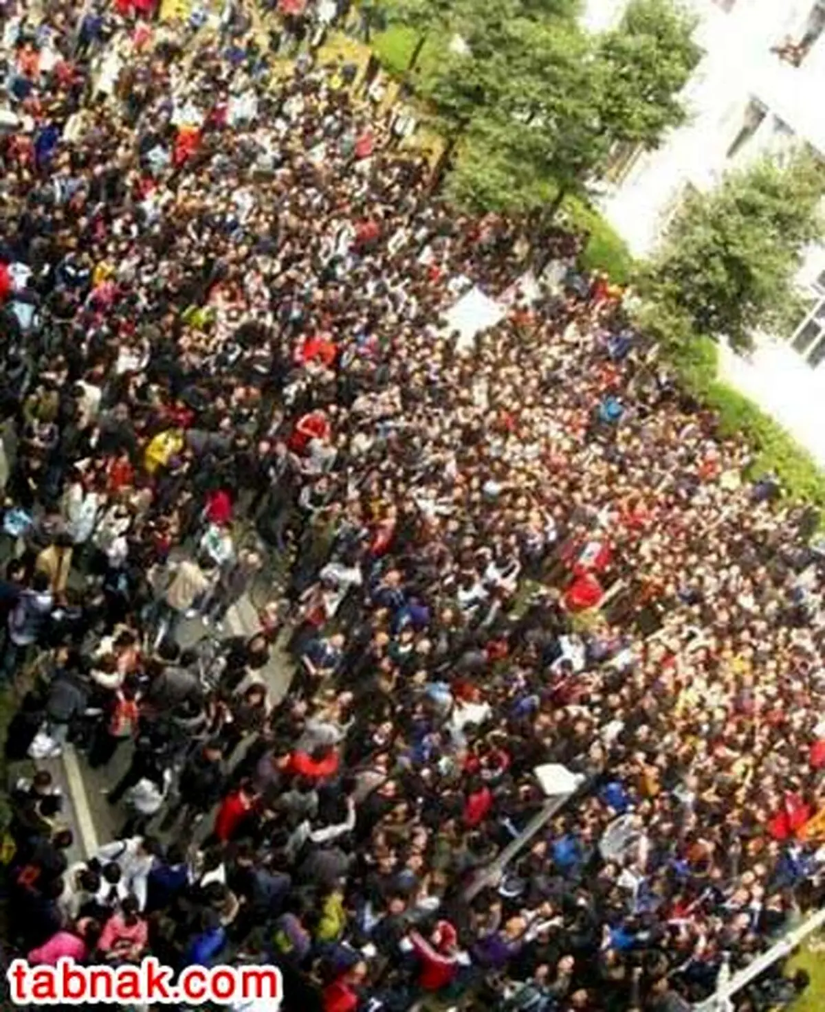 این دختر بیش از 2000 خواستگار پیدا کرد | رمز طلایی این دختر چه بود؟