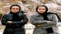 زندگینامه پرستو صالحی